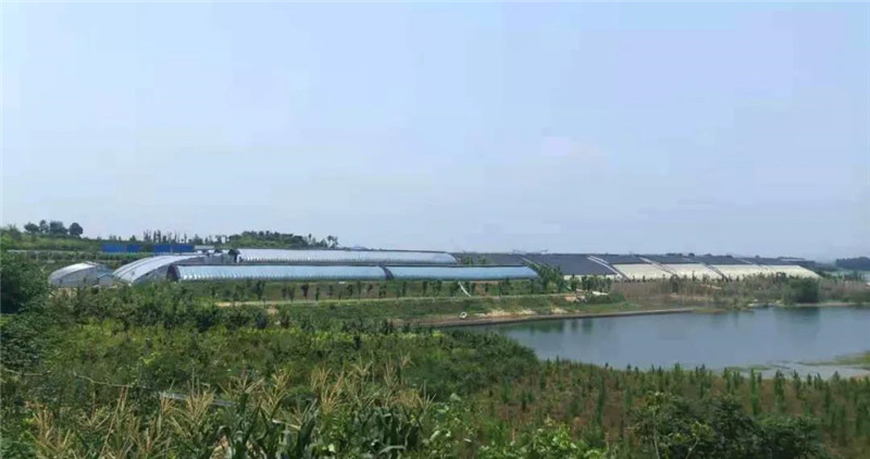 &#20048;&#40060;&#25163;&#26426;&#31449;&#20837;&#21475;&#45;&#20048;&#40060;&#111;&#110;&#108;&#105;&#110;&#101;&#40;&#20013;&#22269;&#41;