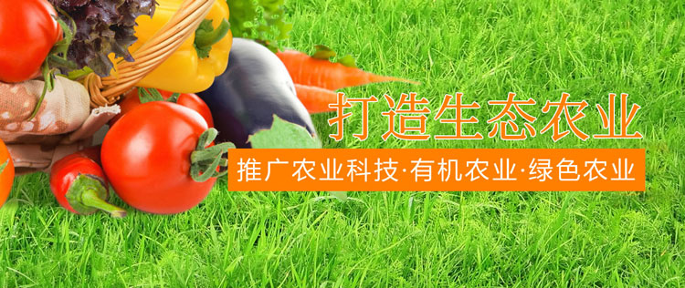 &#20048;&#40060;&#25163;&#26426;&#31449;&#20837;&#21475;&#45;&#20048;&#40060;&#111;&#110;&#108;&#105;&#110;&#101;&#40;&#20013;&#22269;&#41;