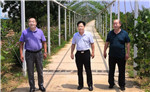 &#20048;&#40060;&#25163;&#26426;&#31449;&#20837;&#21475;&#45;&#20048;&#40060;&#111;&#110;&#108;&#105;&#110;&#101;&#40;&#20013;&#22269;&#41;